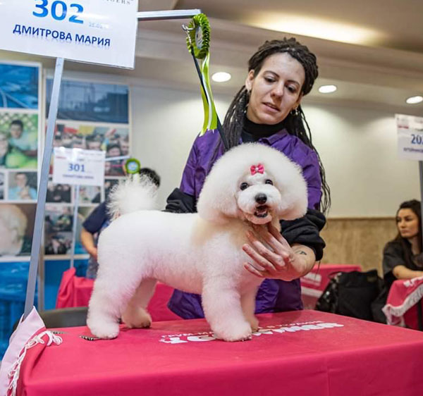 Модуль изображения
